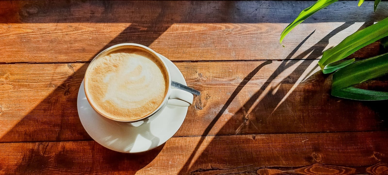 Pavón Coffee Den photo 2