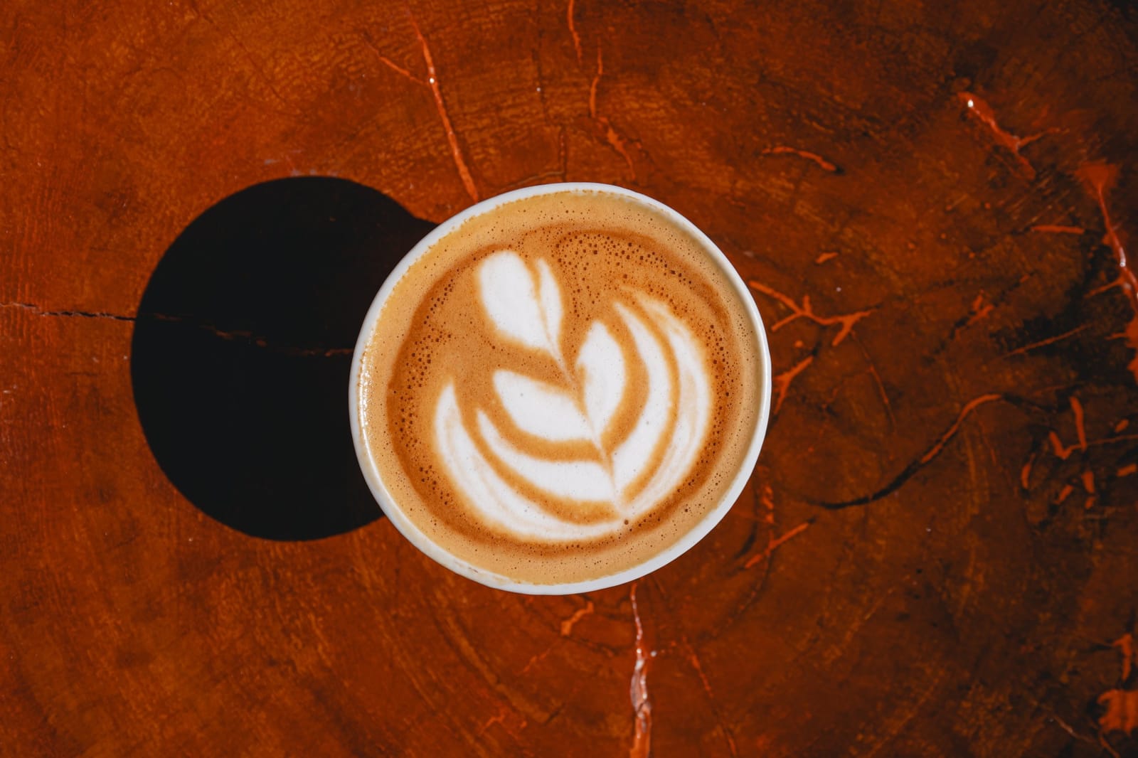 Kefita Coffee photo 3