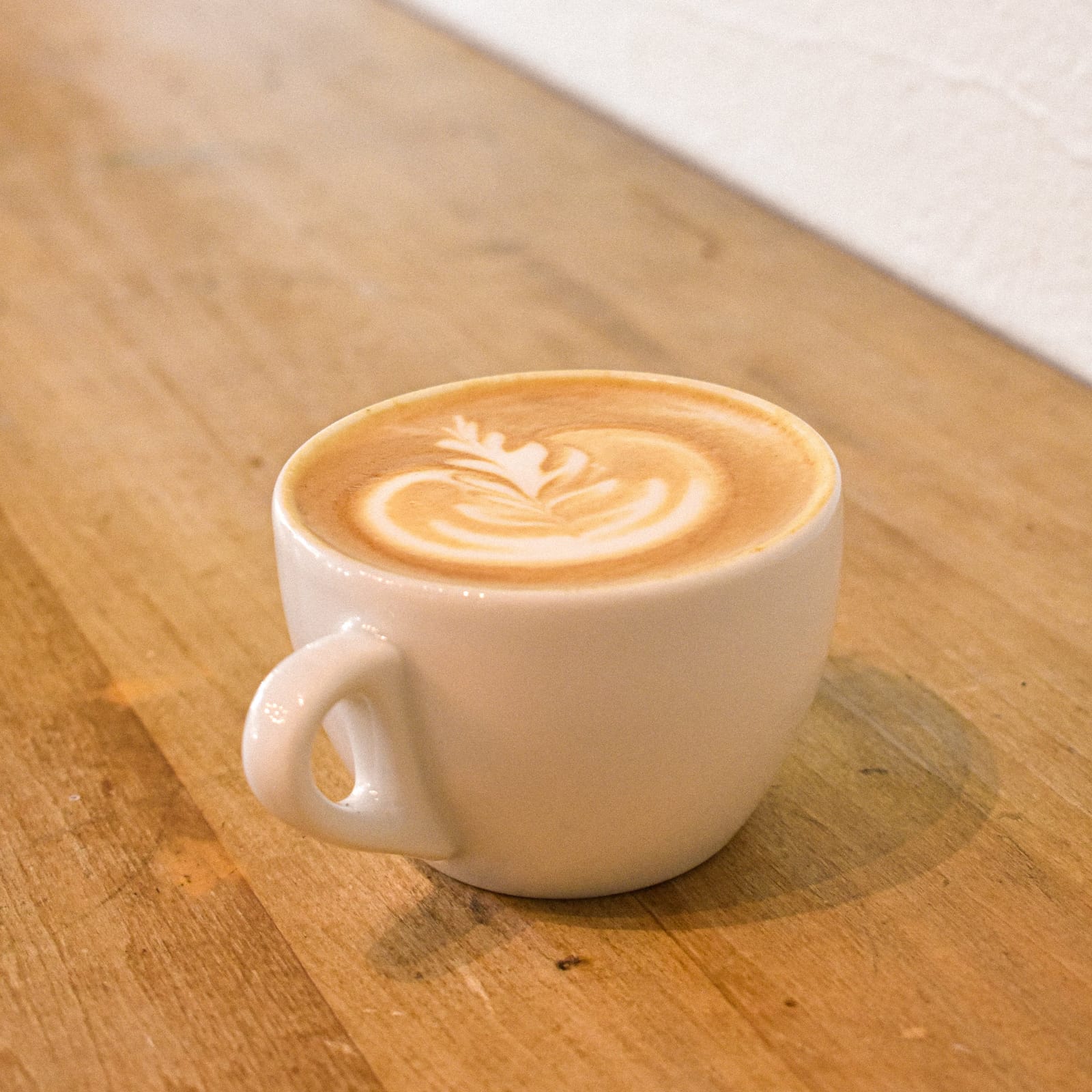 Noble Coyote Coffee Roasters photo 7