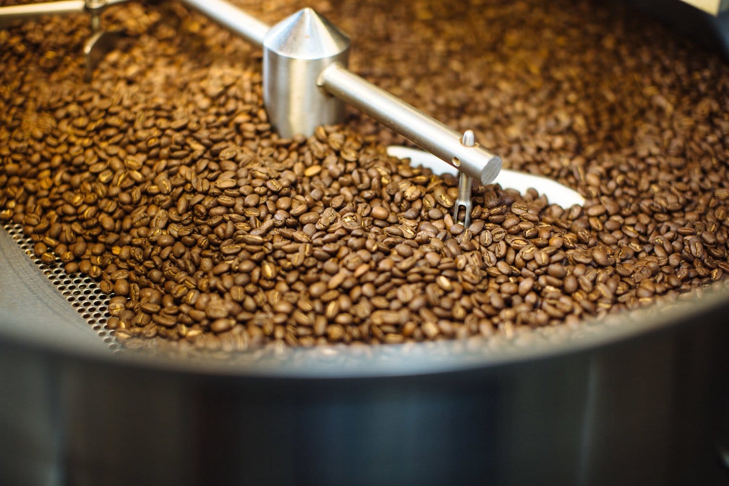 Noble Coyote Coffee Roasters photo 2