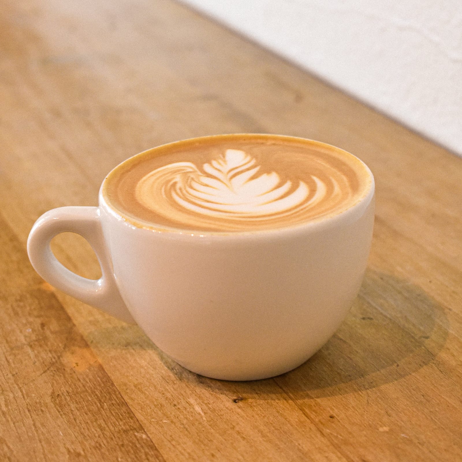 Noble Coyote Coffee Roasters photo 9