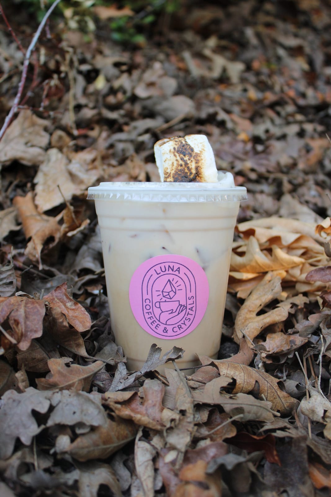 Luna Coffee and Crystals photo 7