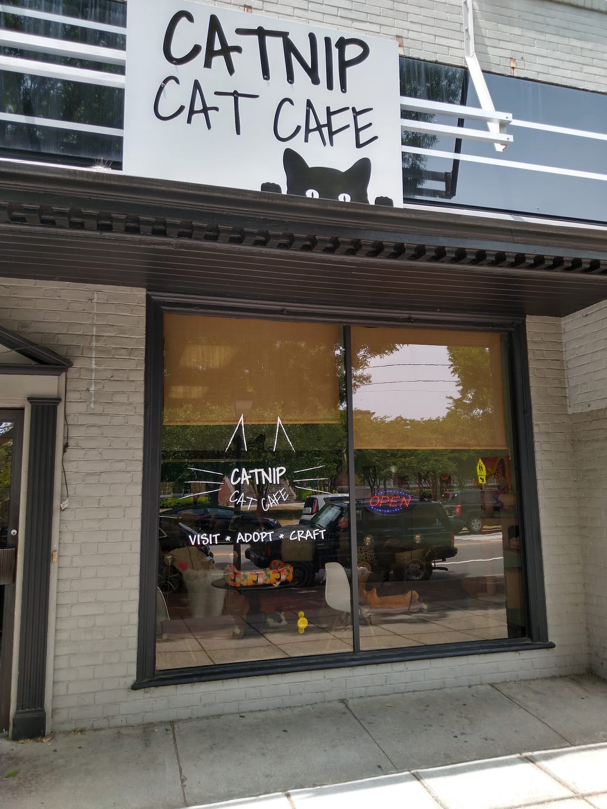 Catnip Cat Cafe