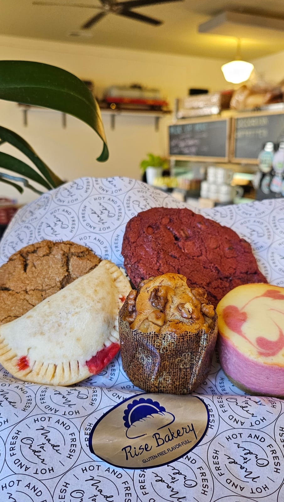 Ballywhack Shack Cafe photo 6