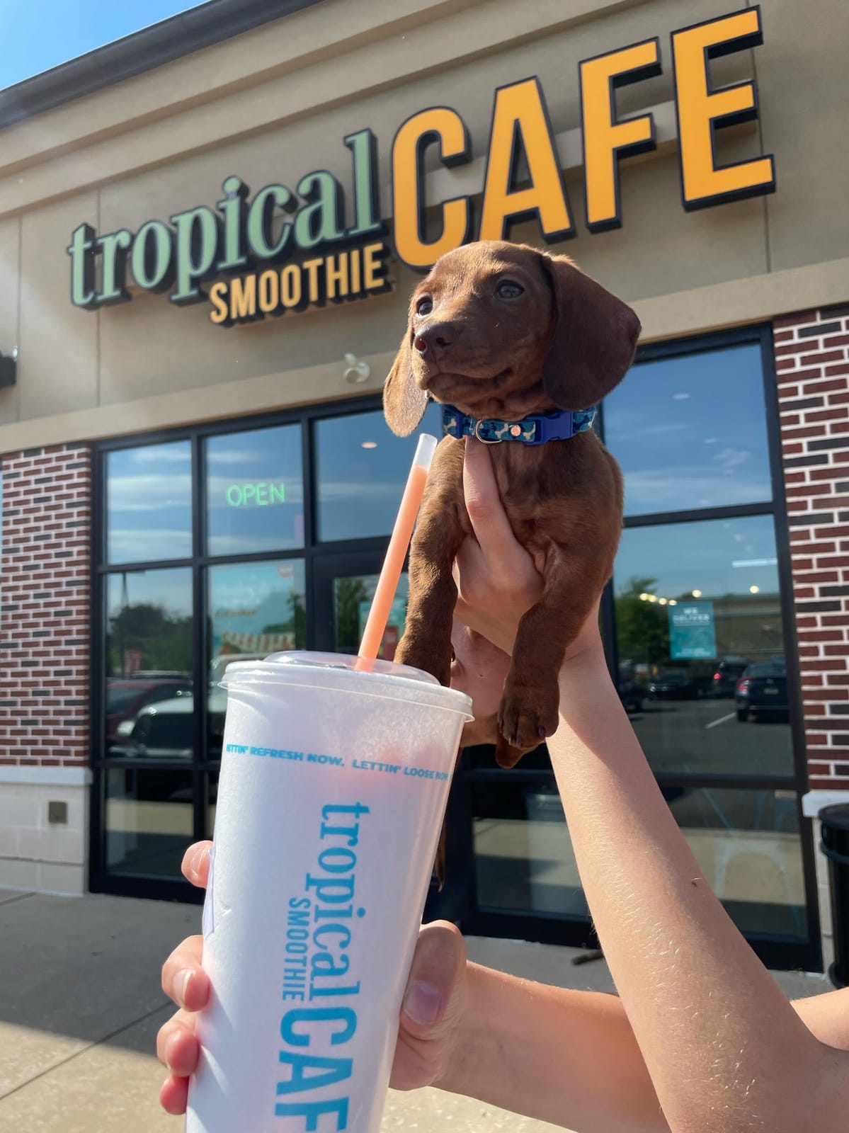 Tropical Smoothie Cafe photo 2
