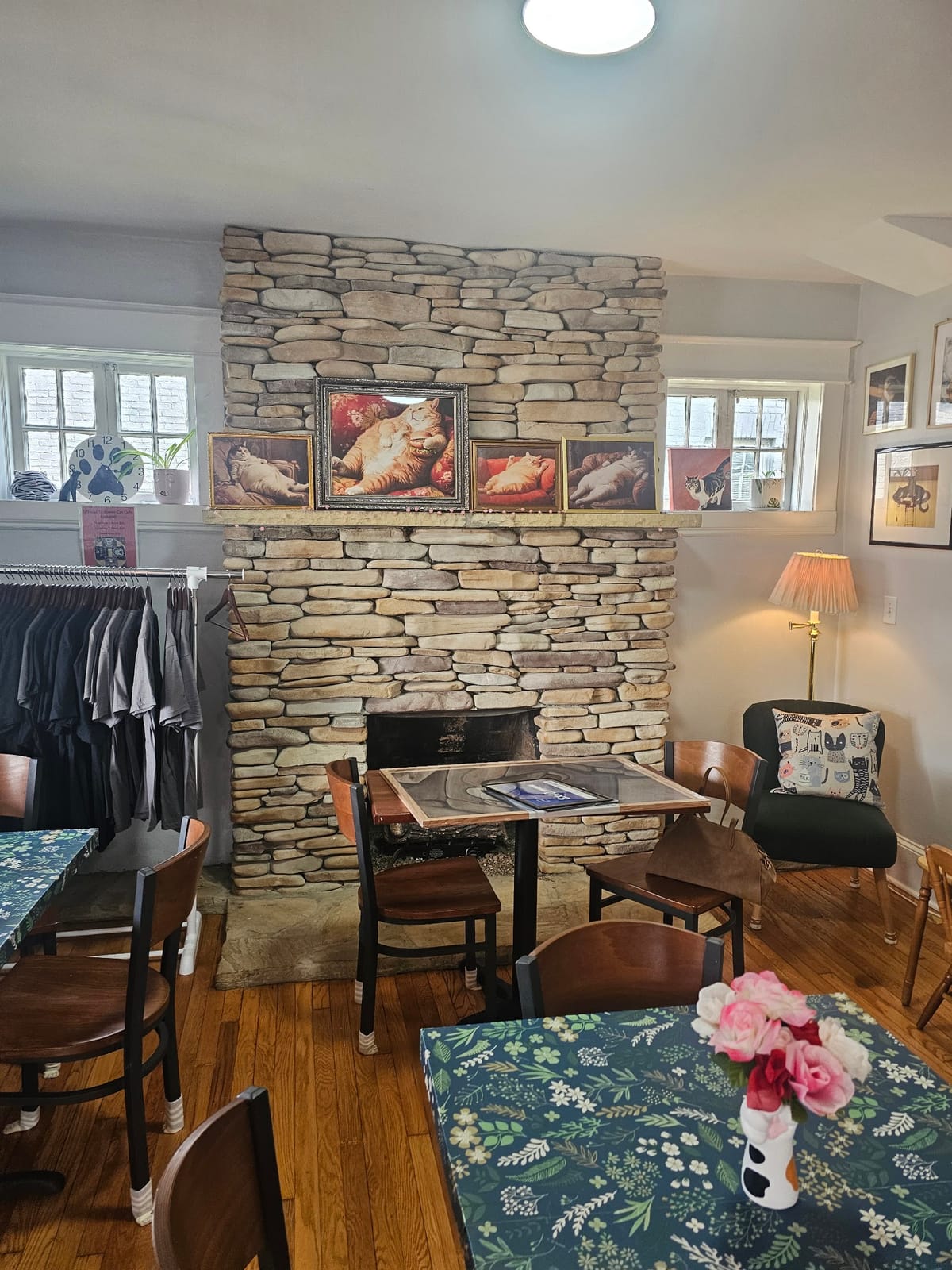The Toebean Cat Café