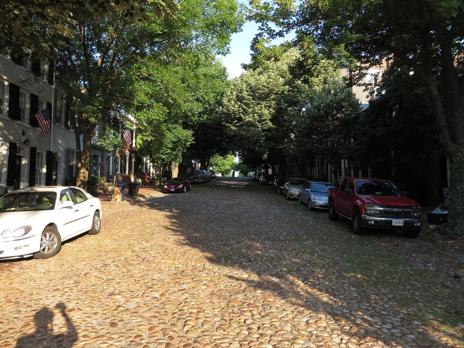 Misha’s photo 5