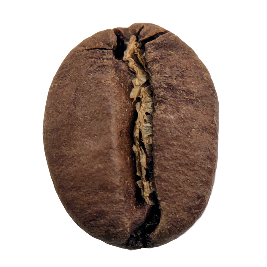 Herkimer Coffee - Phinney Ridge photo 6