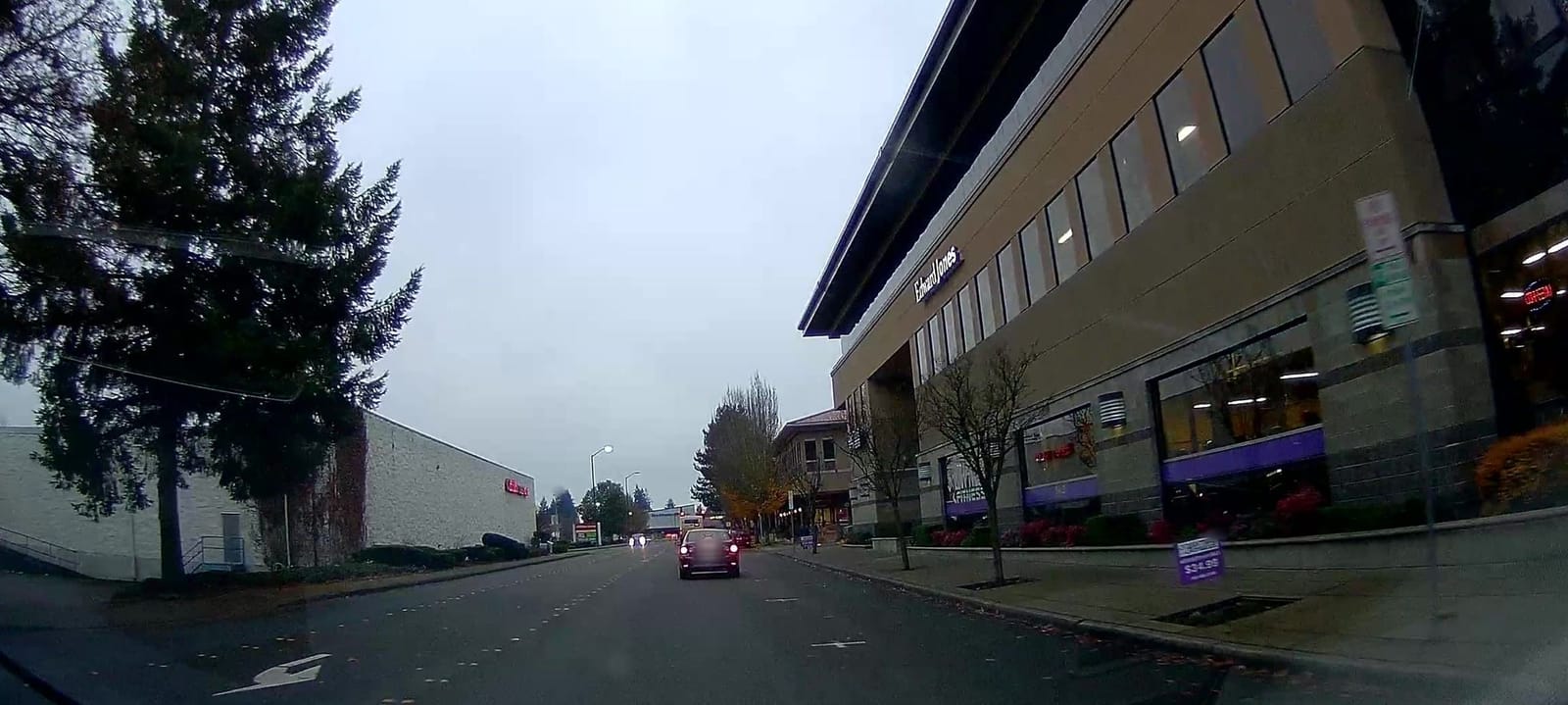Fog and Fern Coffee House