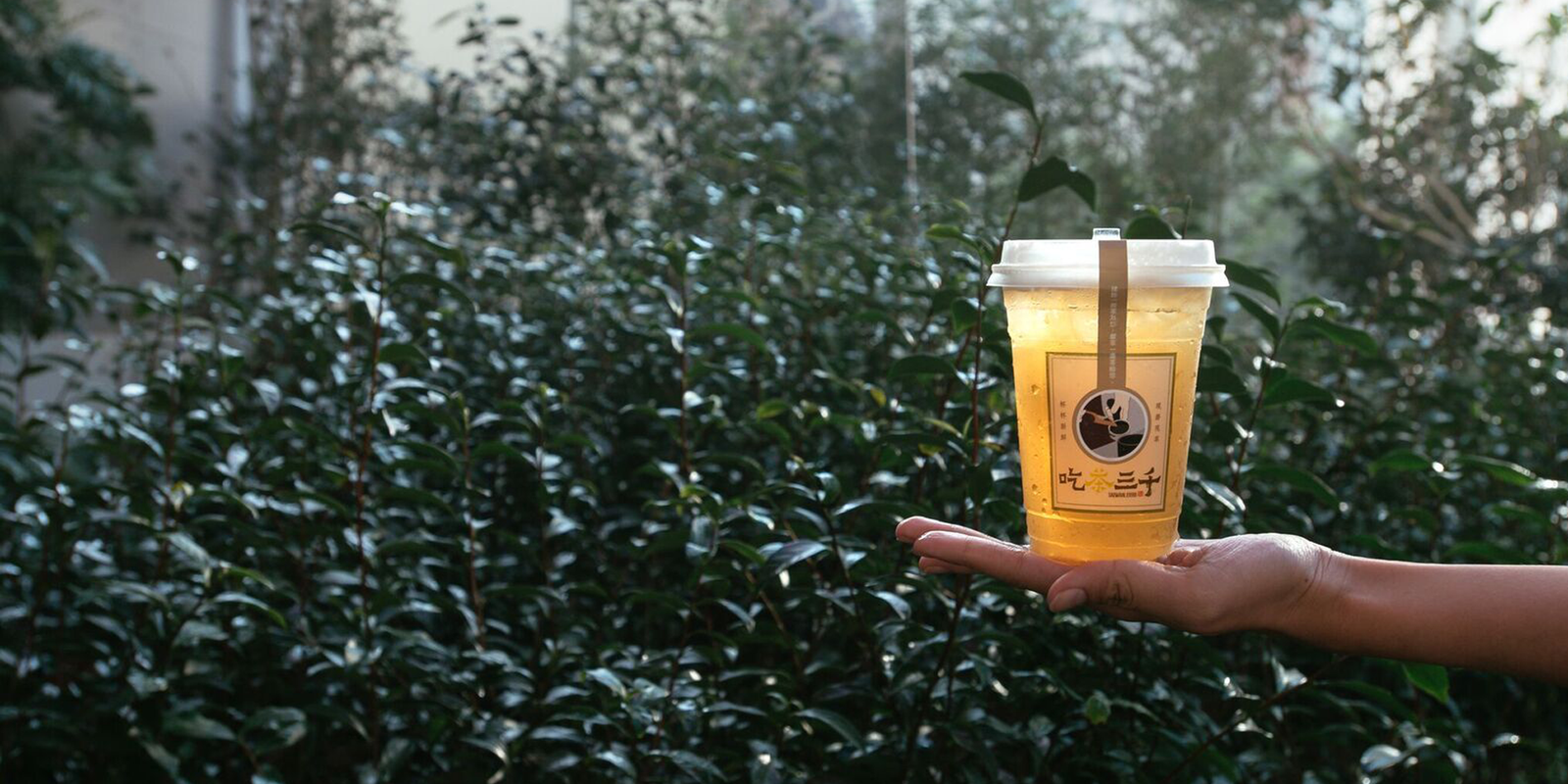 Chicha San Chen photo 6