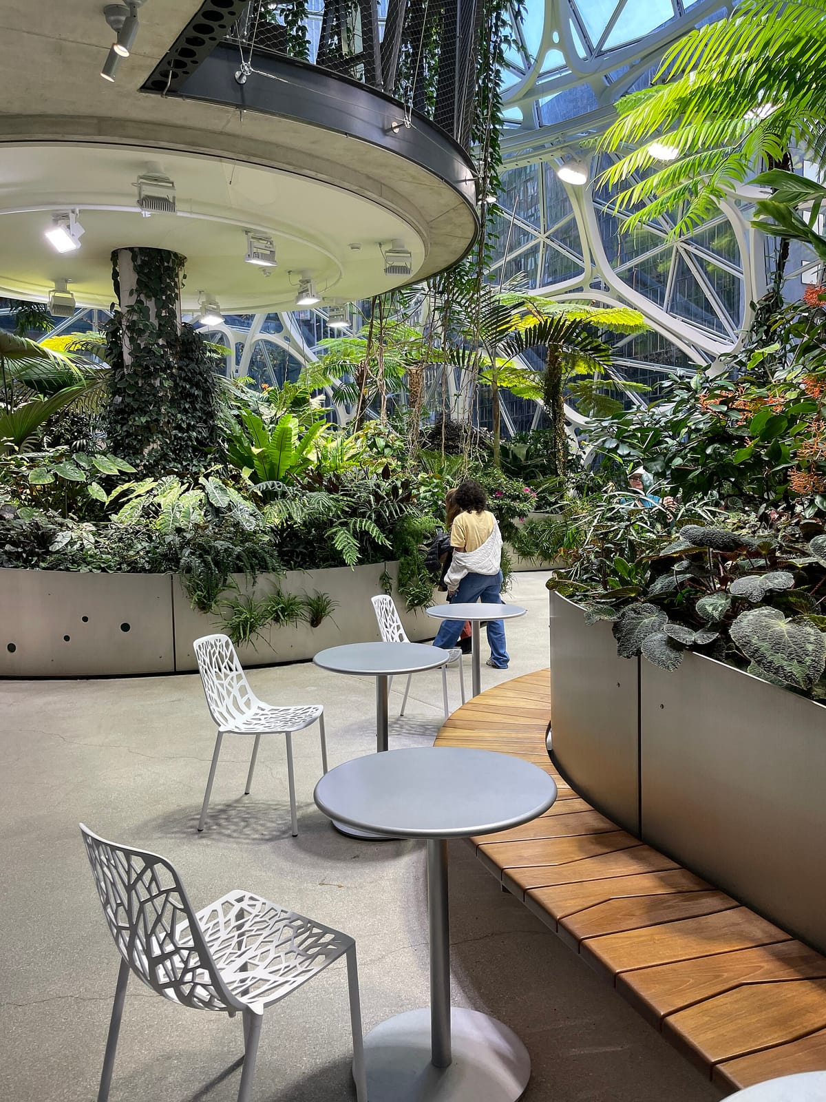 General Porpoise Doughnuts - Amazon Spheres
