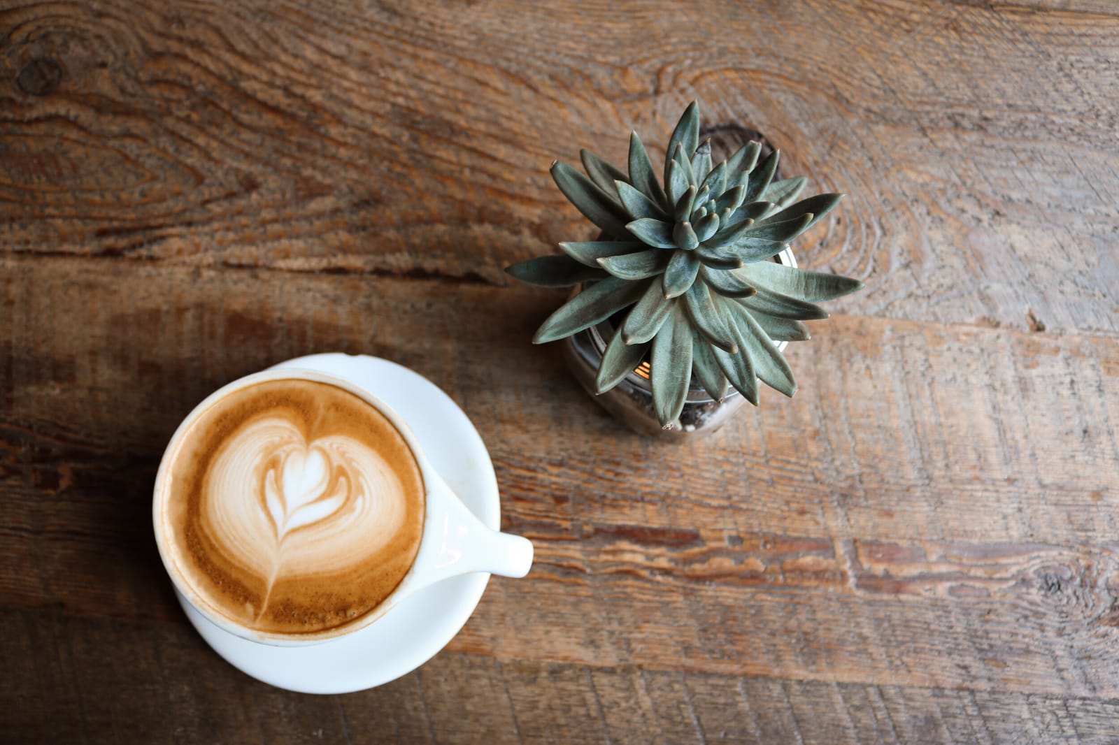 Third Culture Coffee photo 4