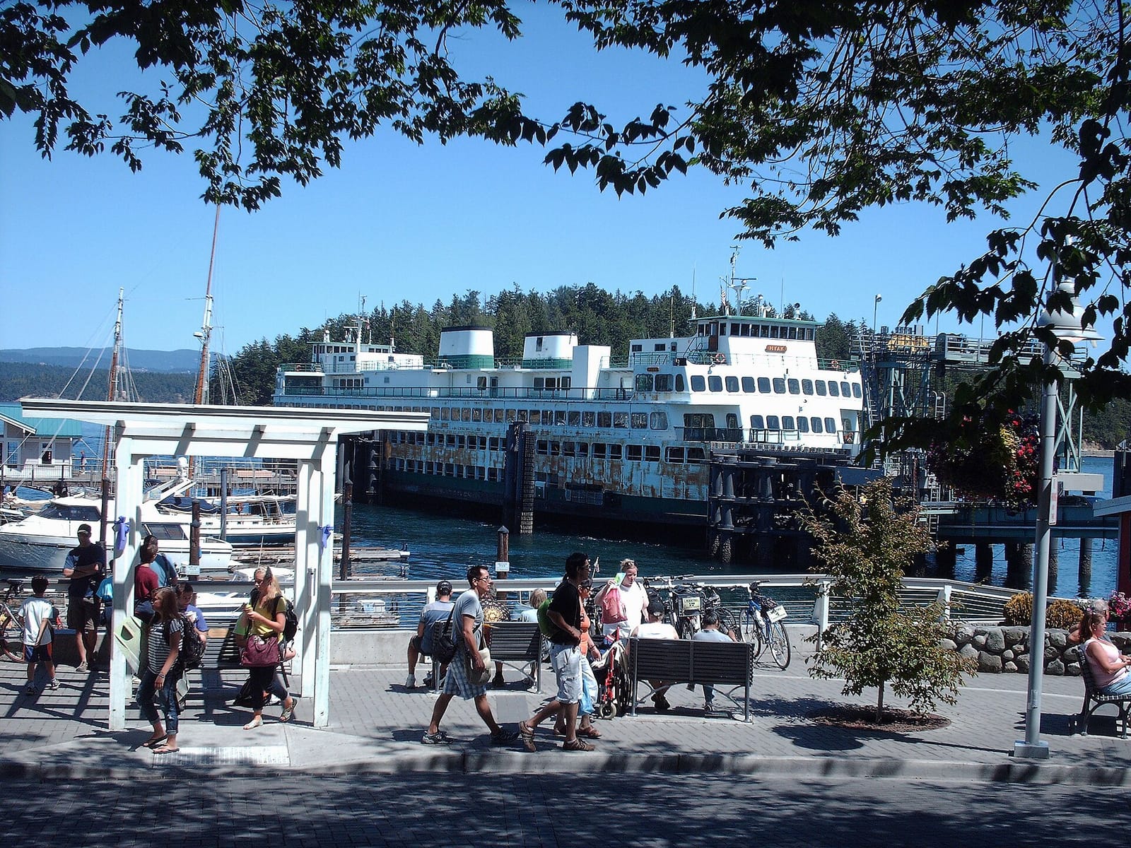 Riptide Cafe photo 4