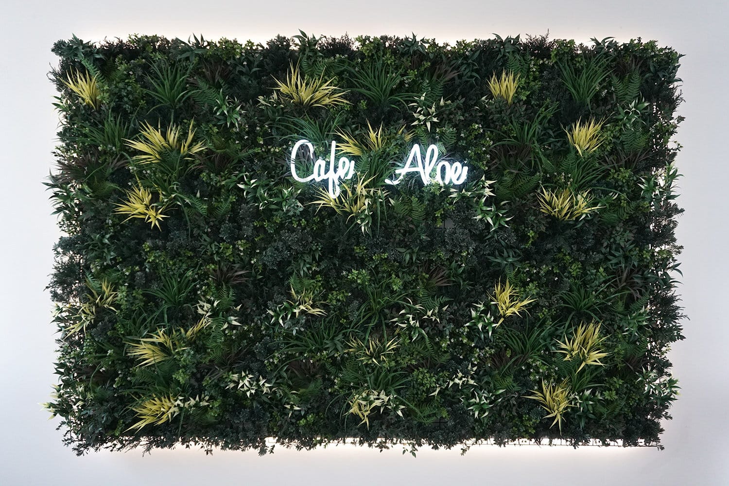 Cafe Aloe photo 2
