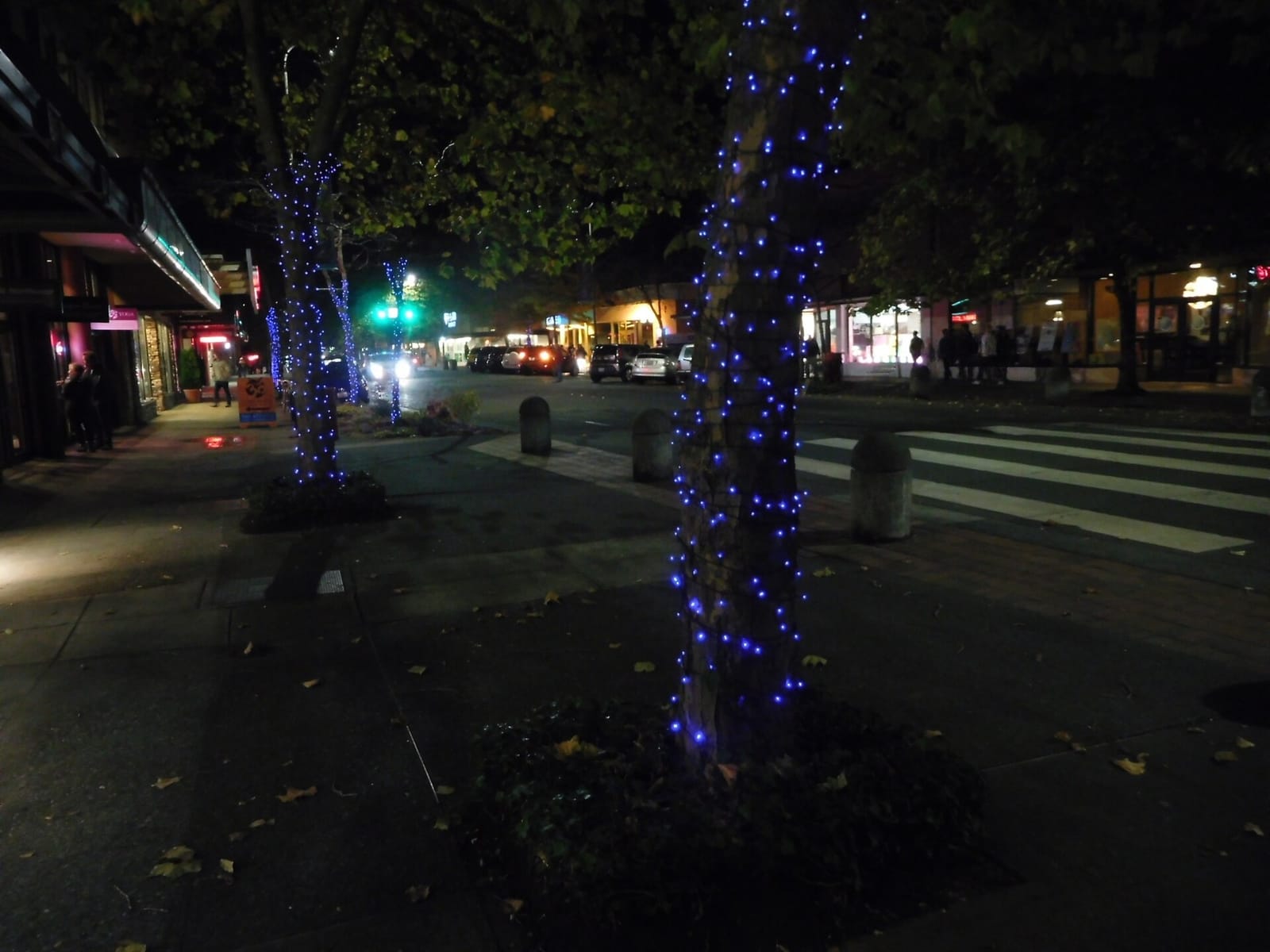 Locus photo 12