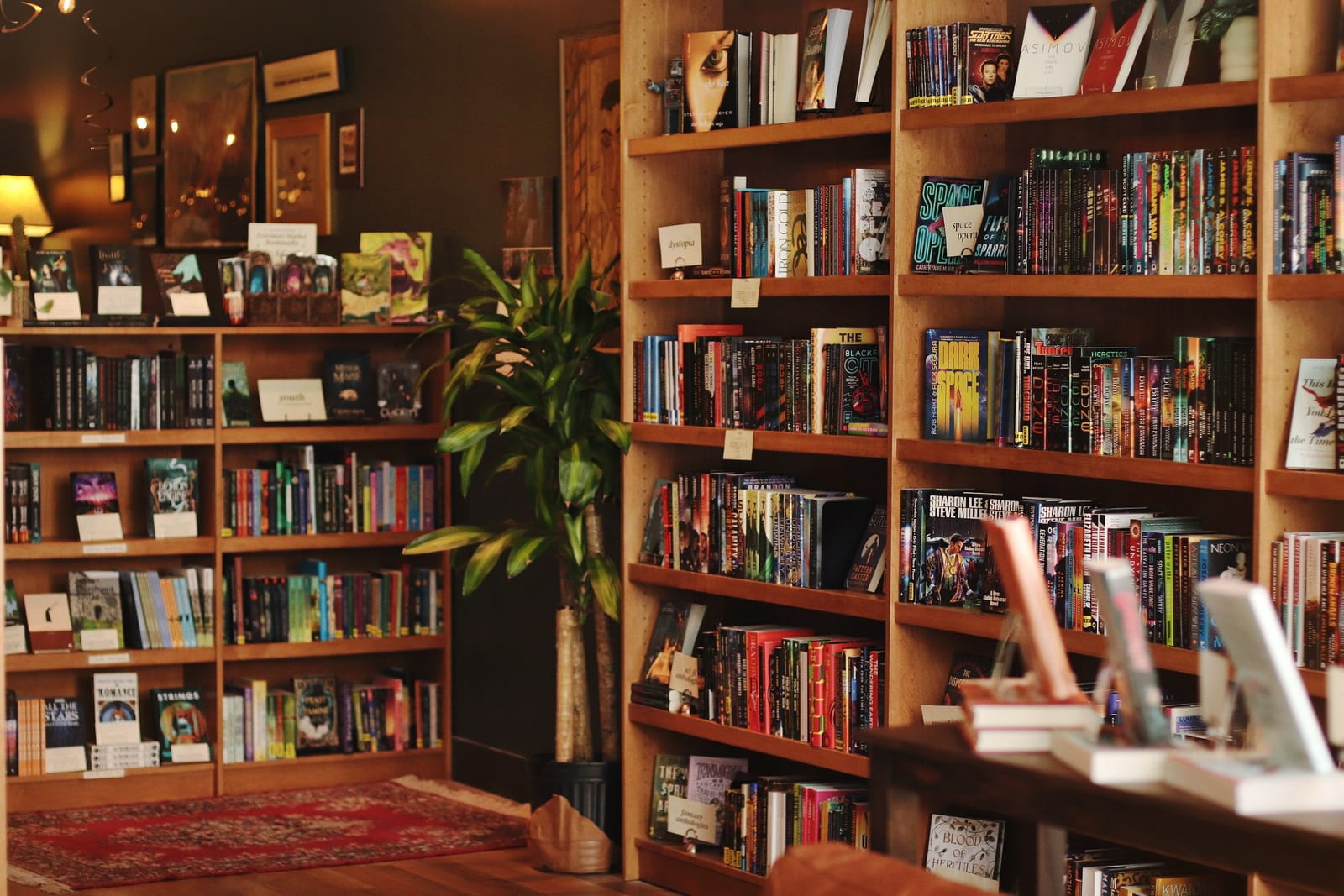 Jupiter's Eye Book Cafe photo 2