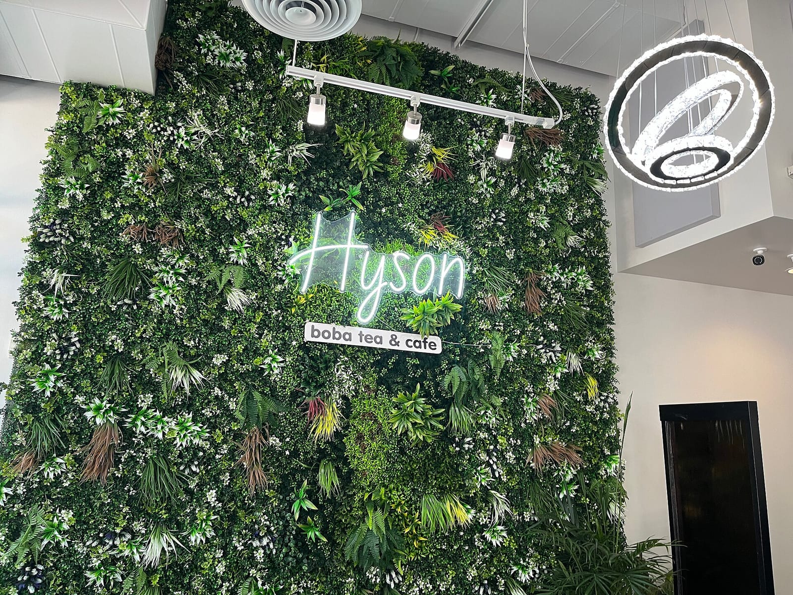 Hyson Boba & Tea photo 3