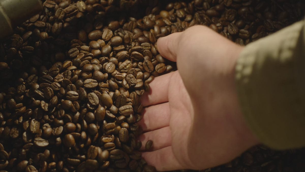 La Colombe Coffee Roasters photo 5