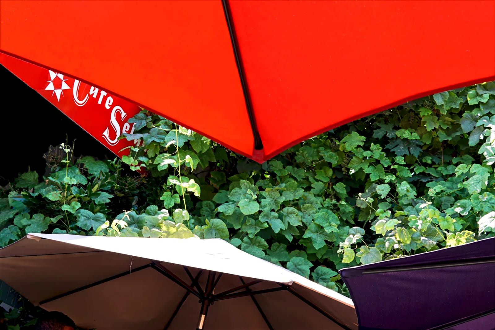 Cafe Selam photo 2