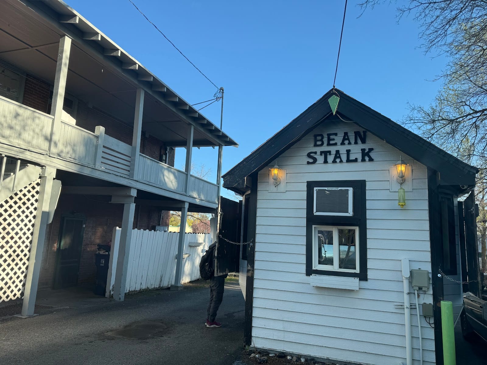 The Bean Stalk