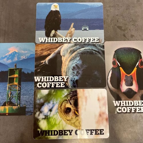 Whidbey Coffee photo 4