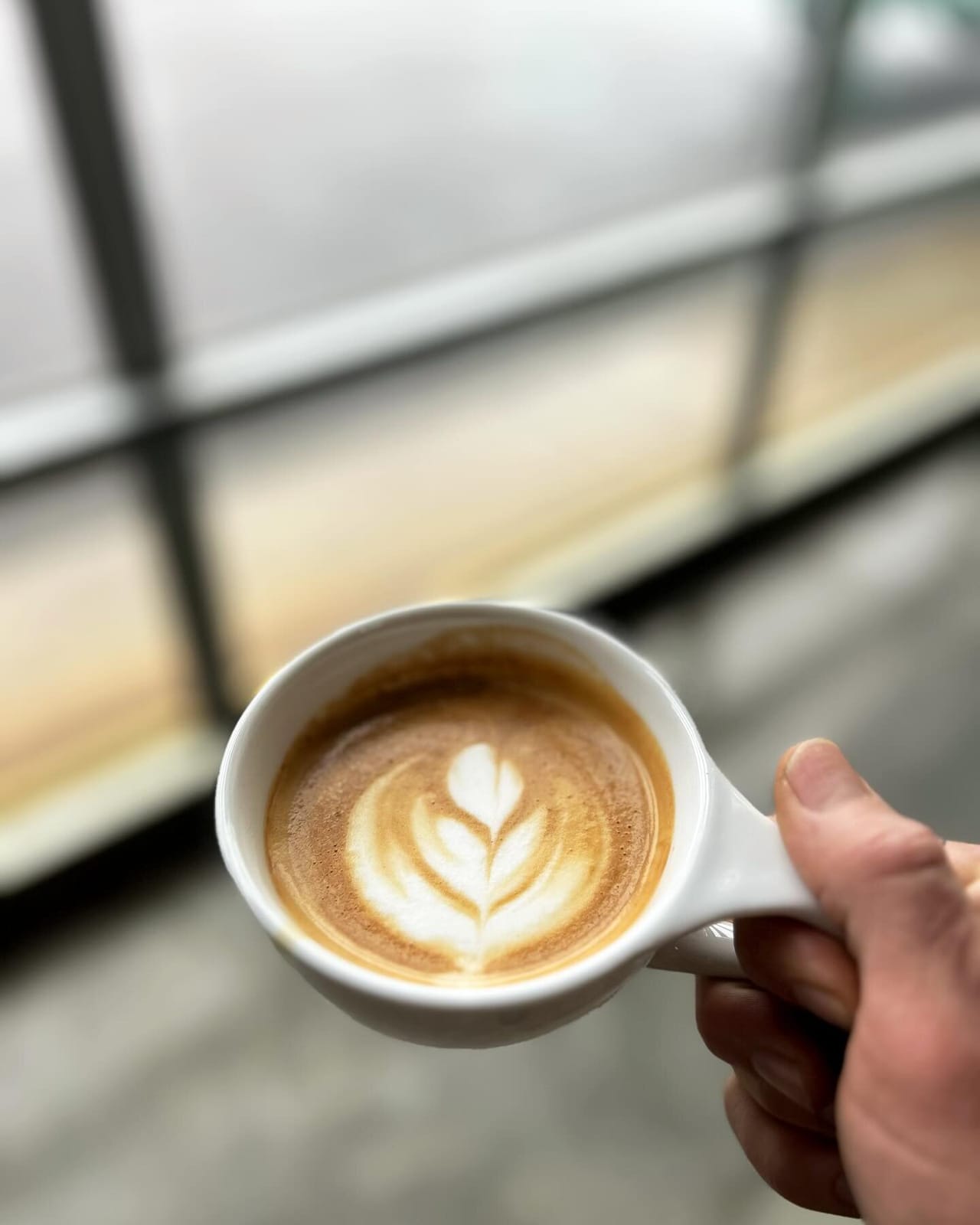 Swell Coffee photo 6
