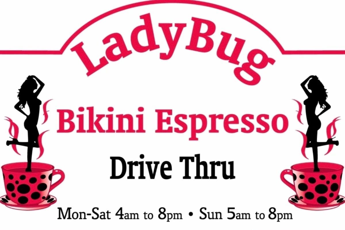 Ladybug Bikini Espresso photo 2