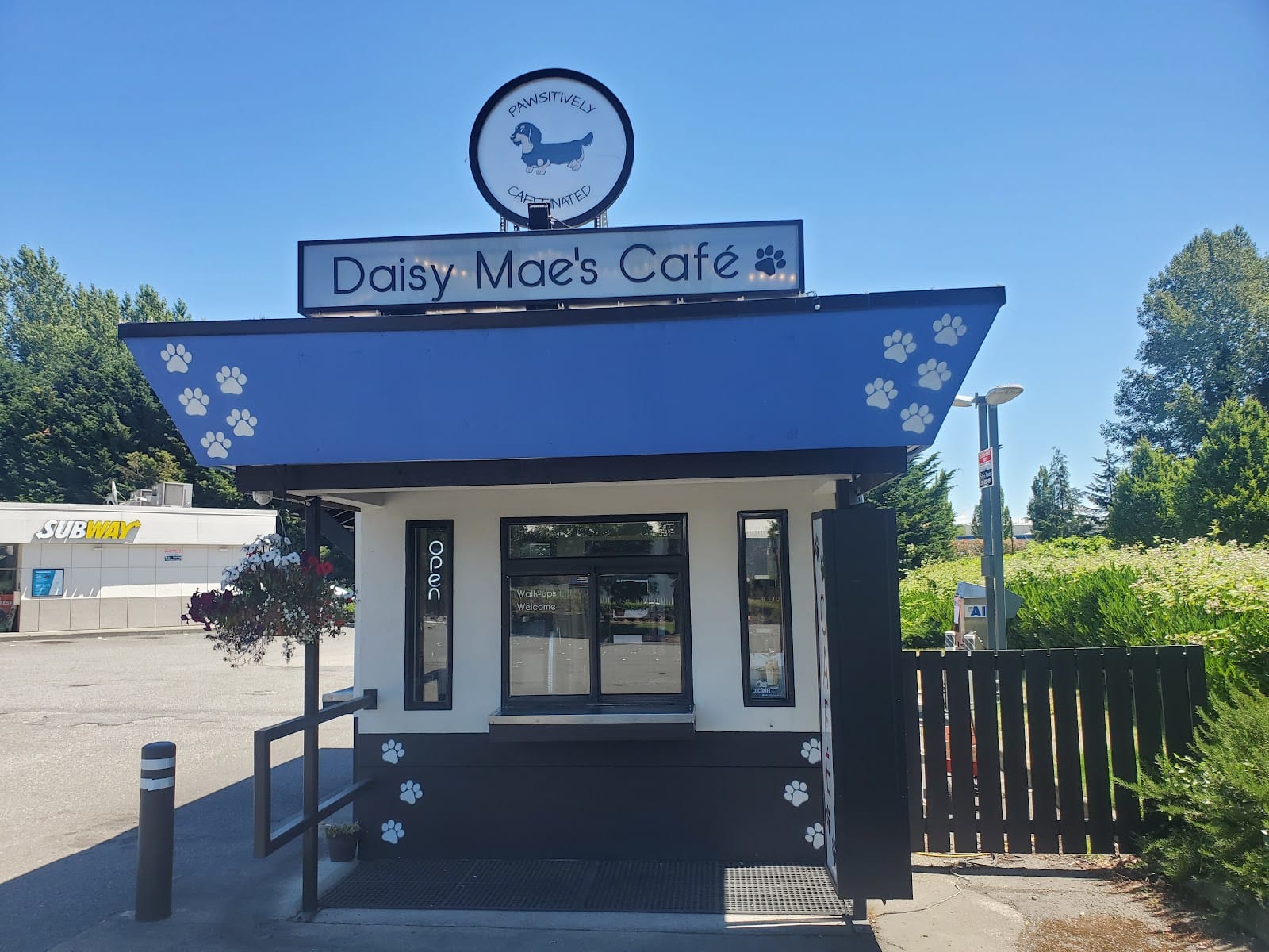 Daisy Mae's Cafe