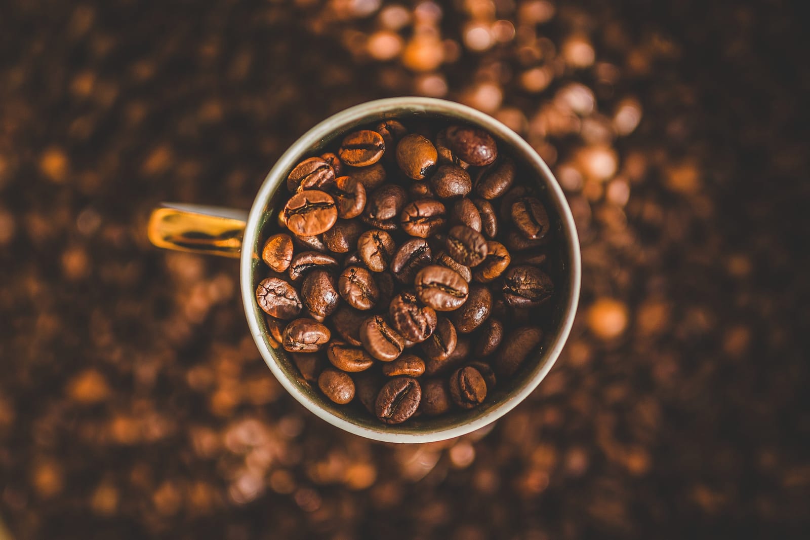 J.B. Steamers Coffee