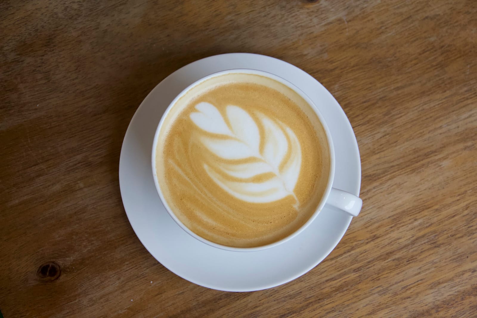 Grindstone Coffeeology photo 4