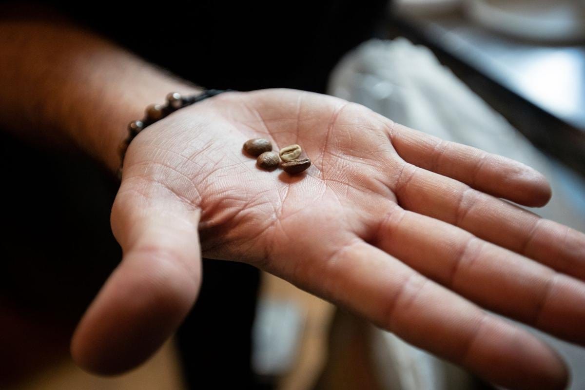 Grindstone Coffeeology photo 5