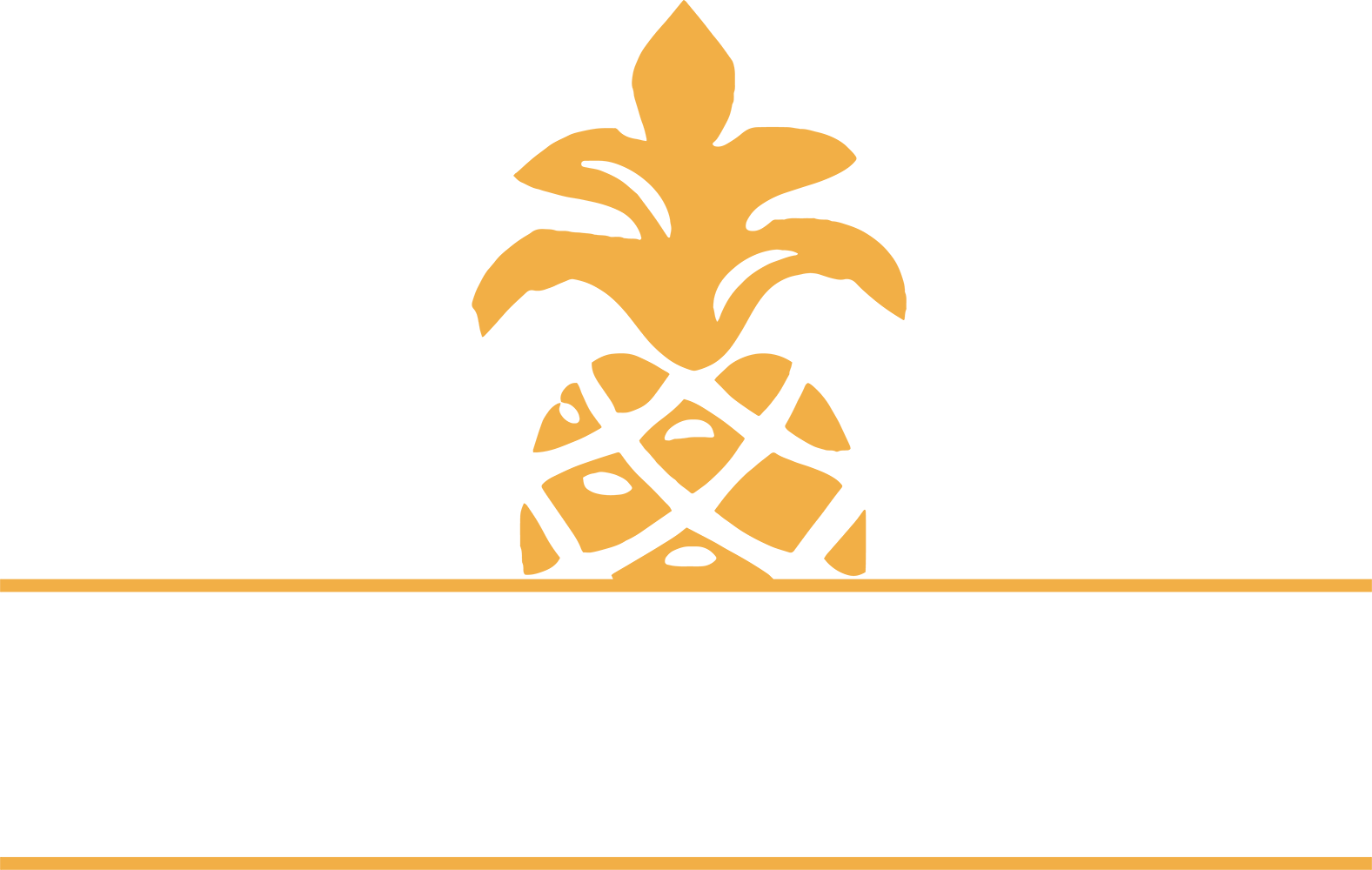 ICKISTICKI