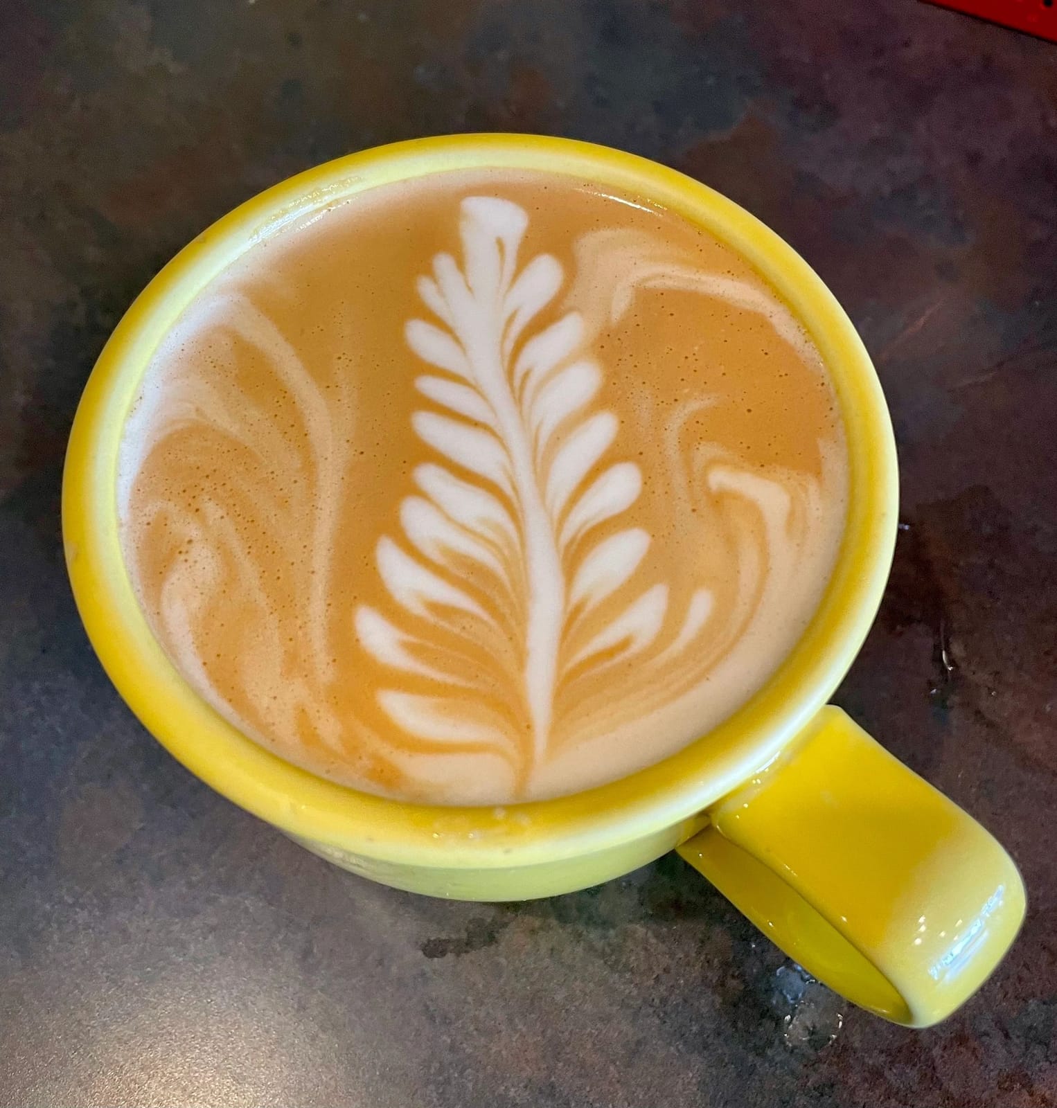 Crema Cafe photo 2