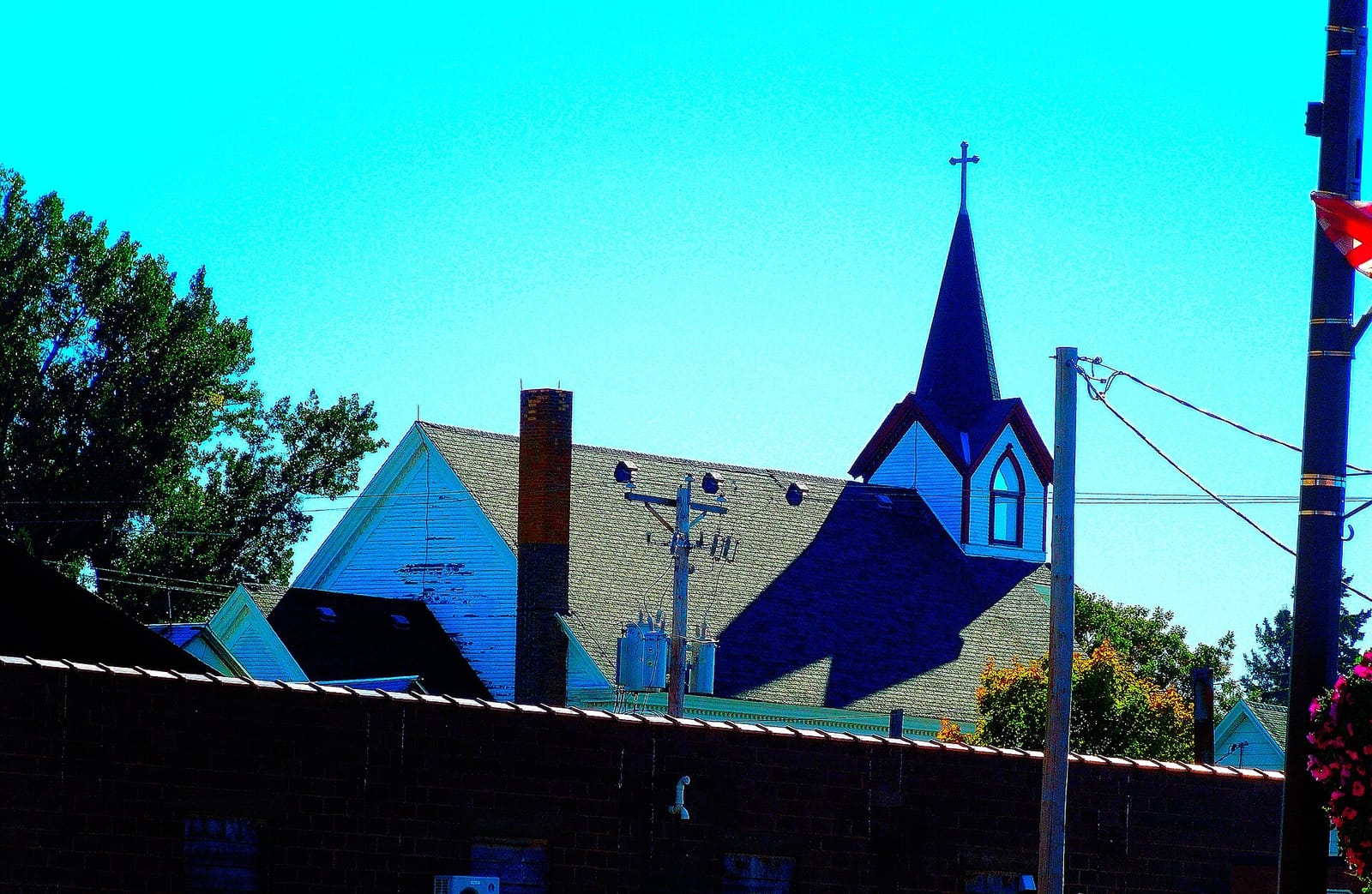 Black Cat Coffeehouse photo 2