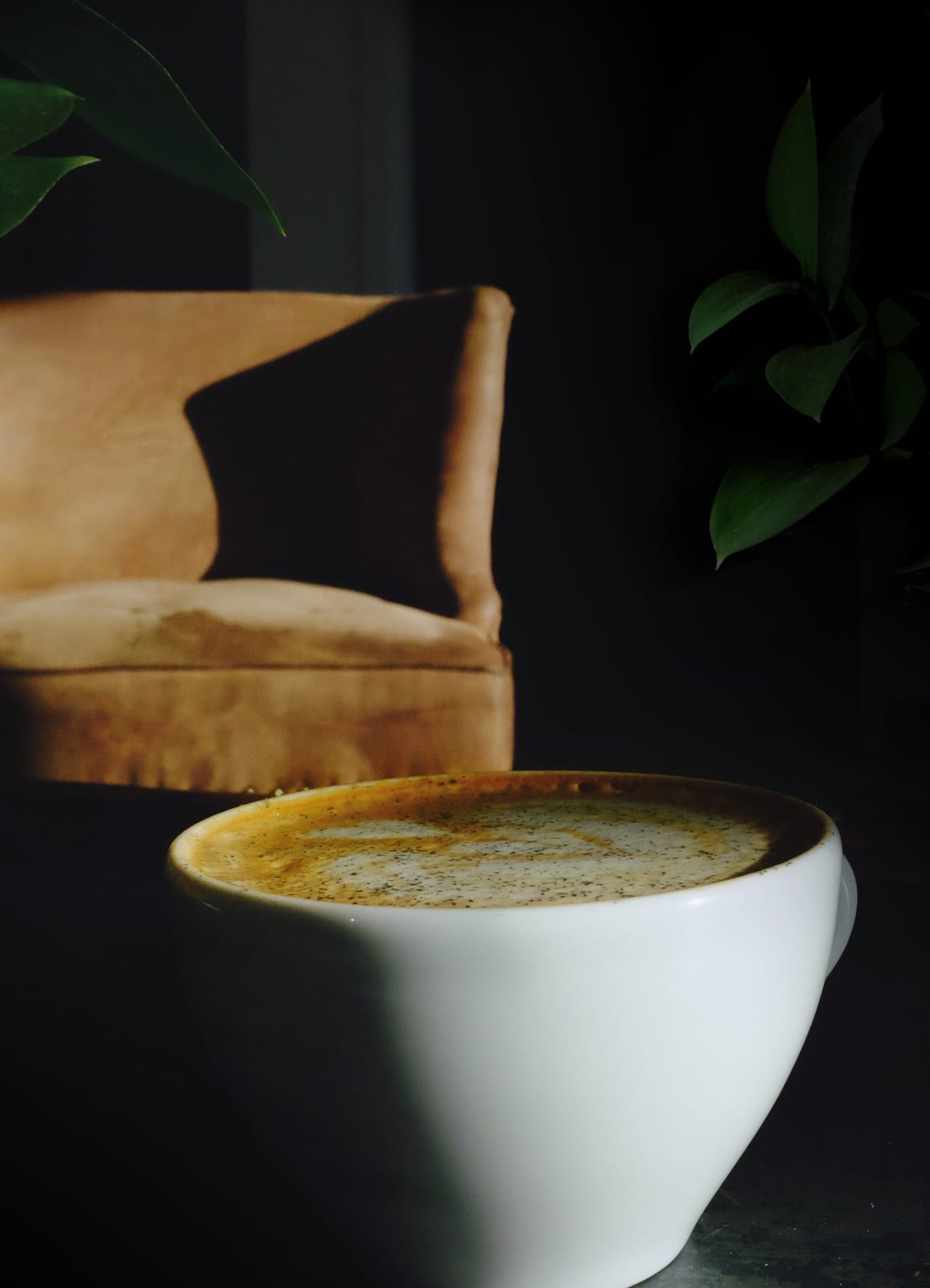 Tempest Coffee Collective photo 2