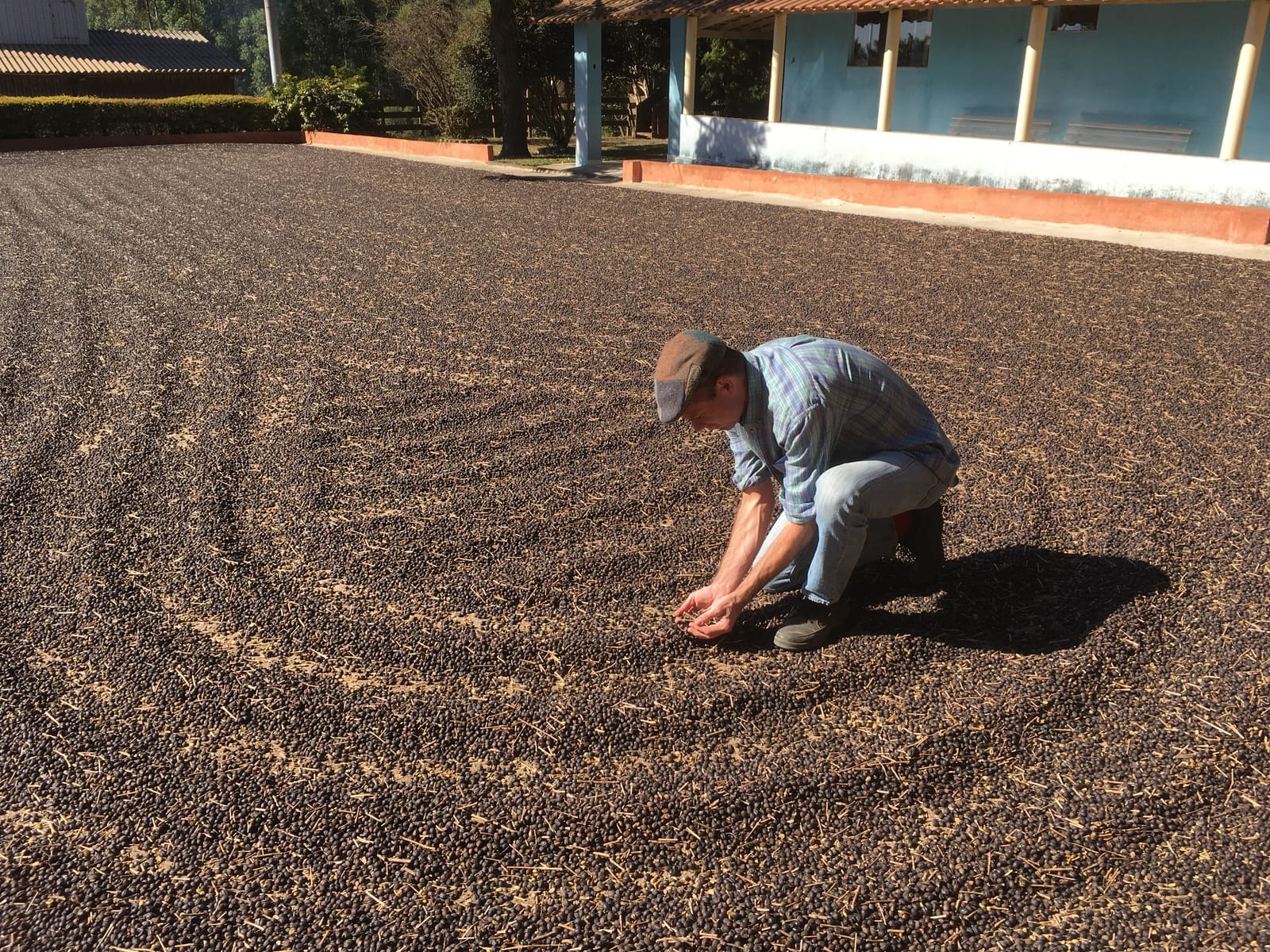 True Coffee Roasters photo 6