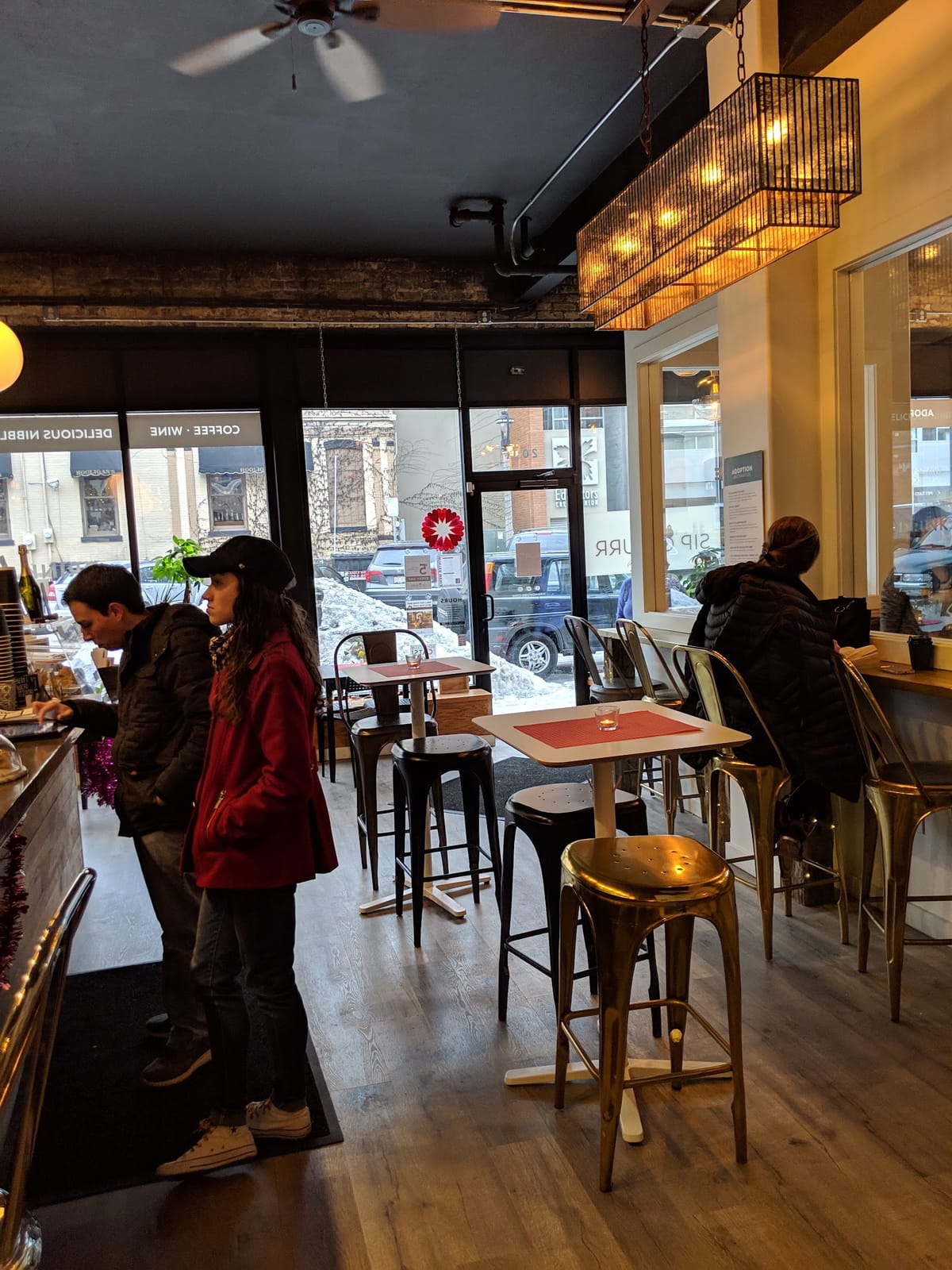 Sip & Purr Cat Café