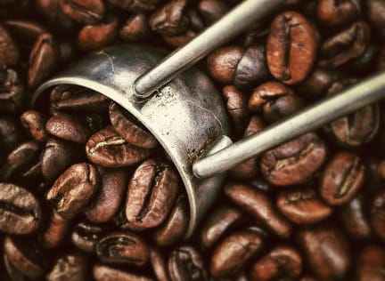 Coffee Bean Connection photo 3
