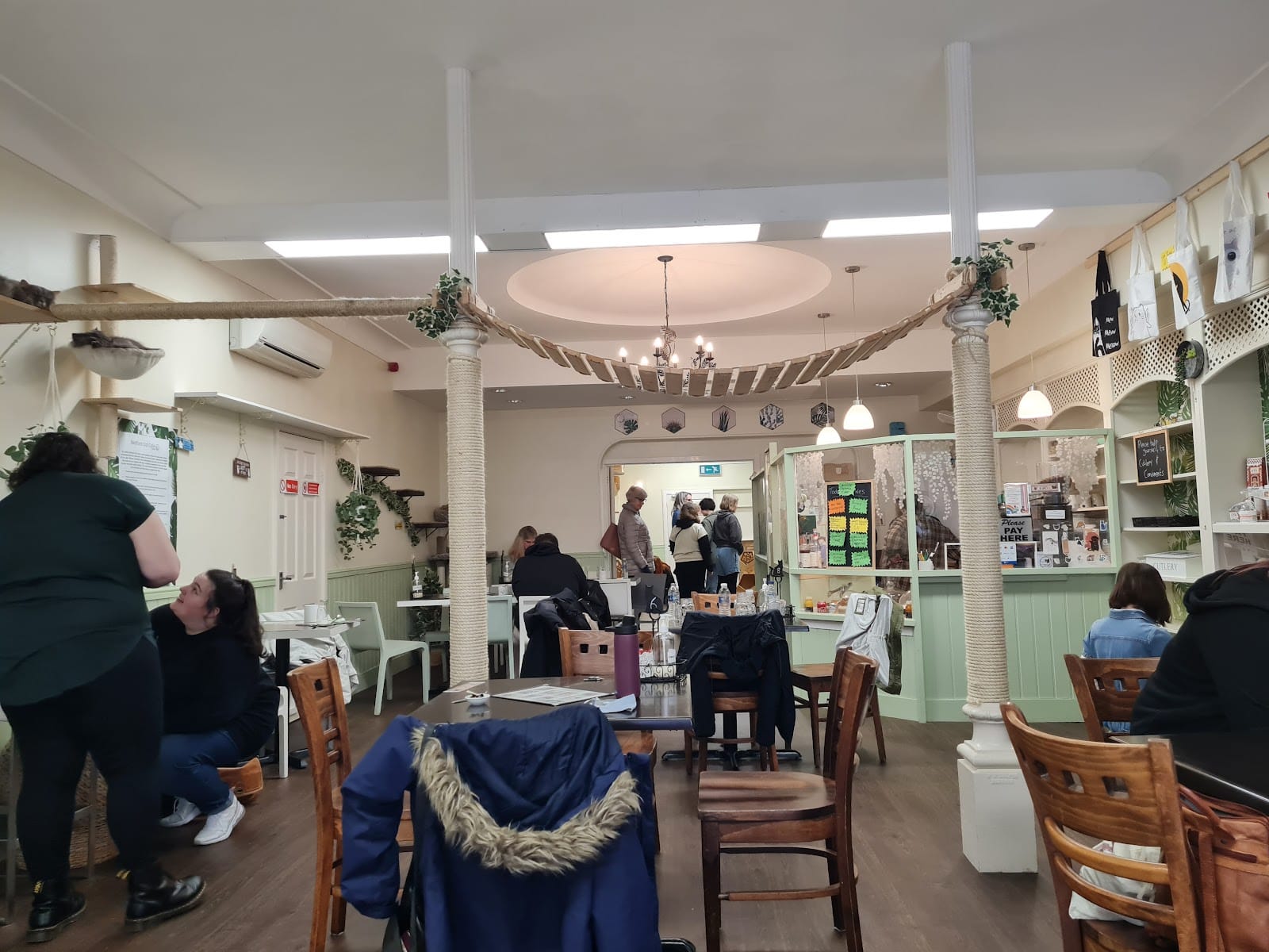 Bedford Cat Café