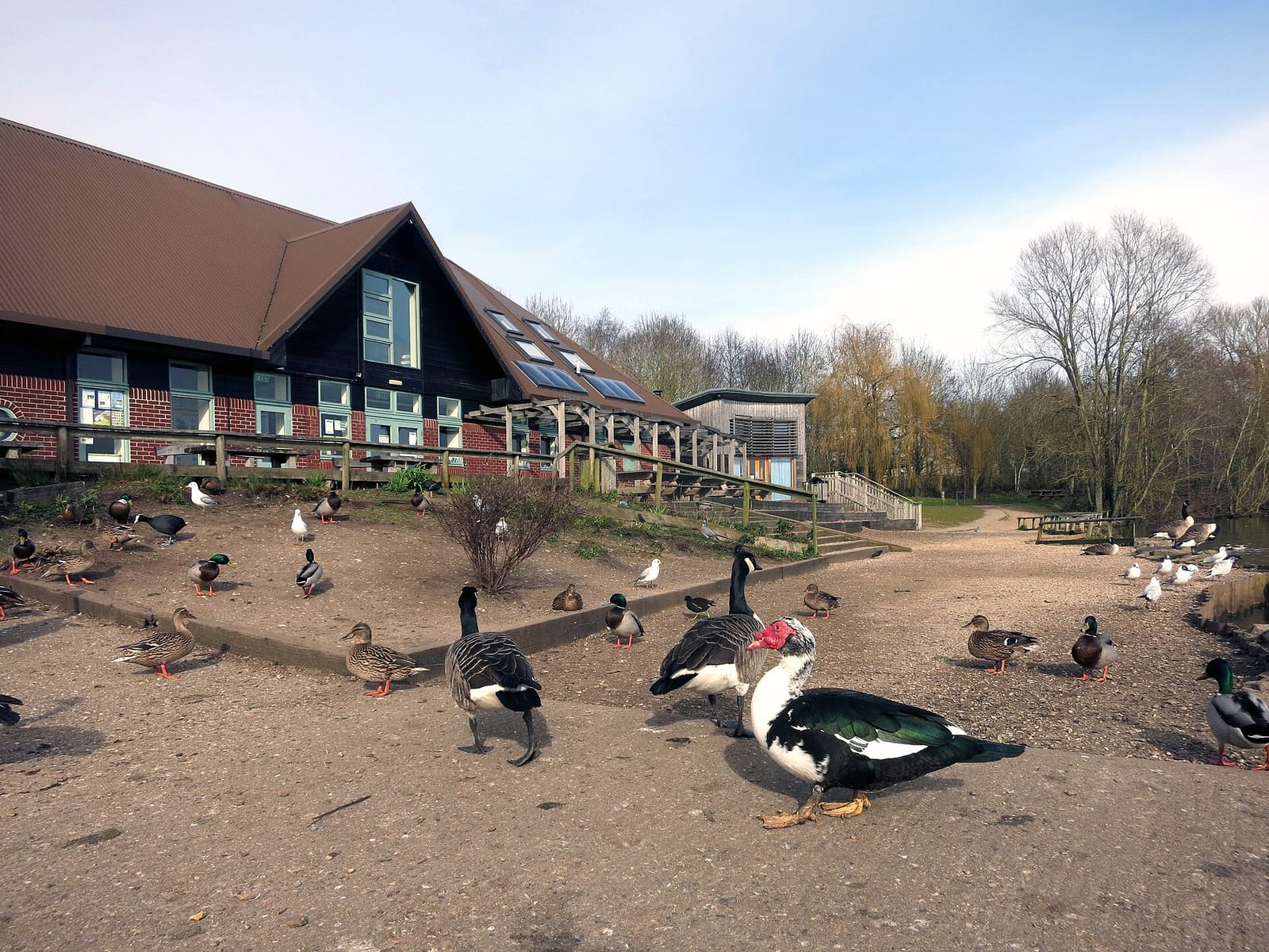 Thatcham Nature Discovery Centre Cafe photo 5