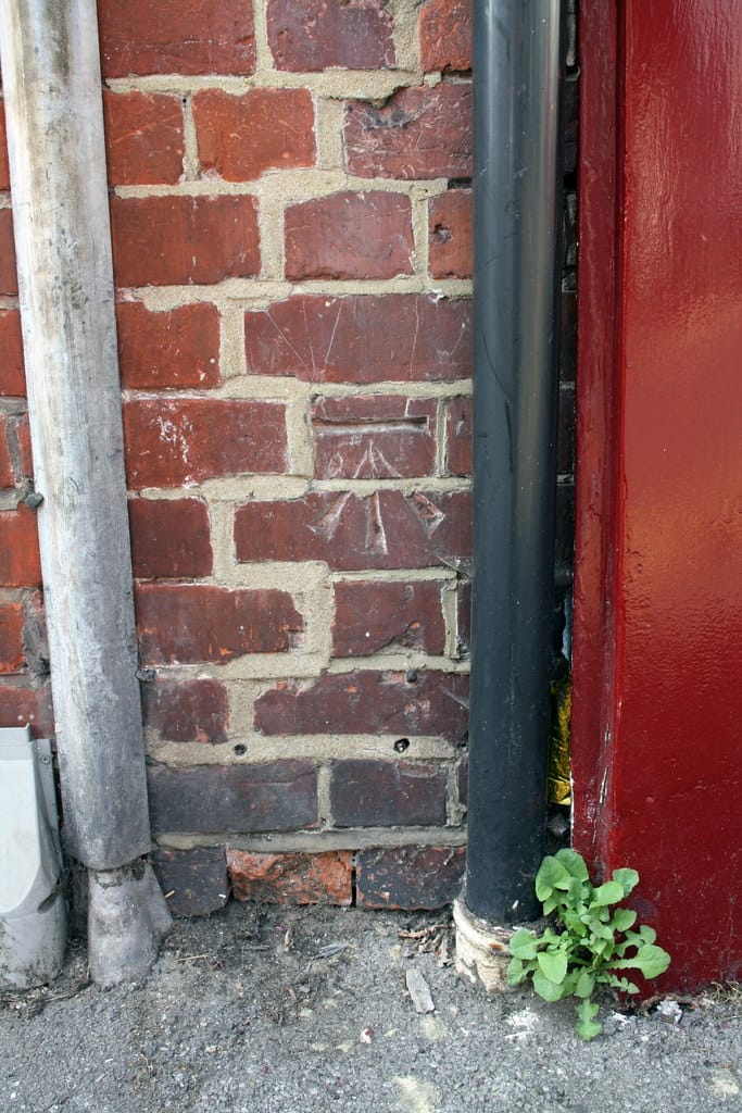 Workhouse Coffee photo 3
