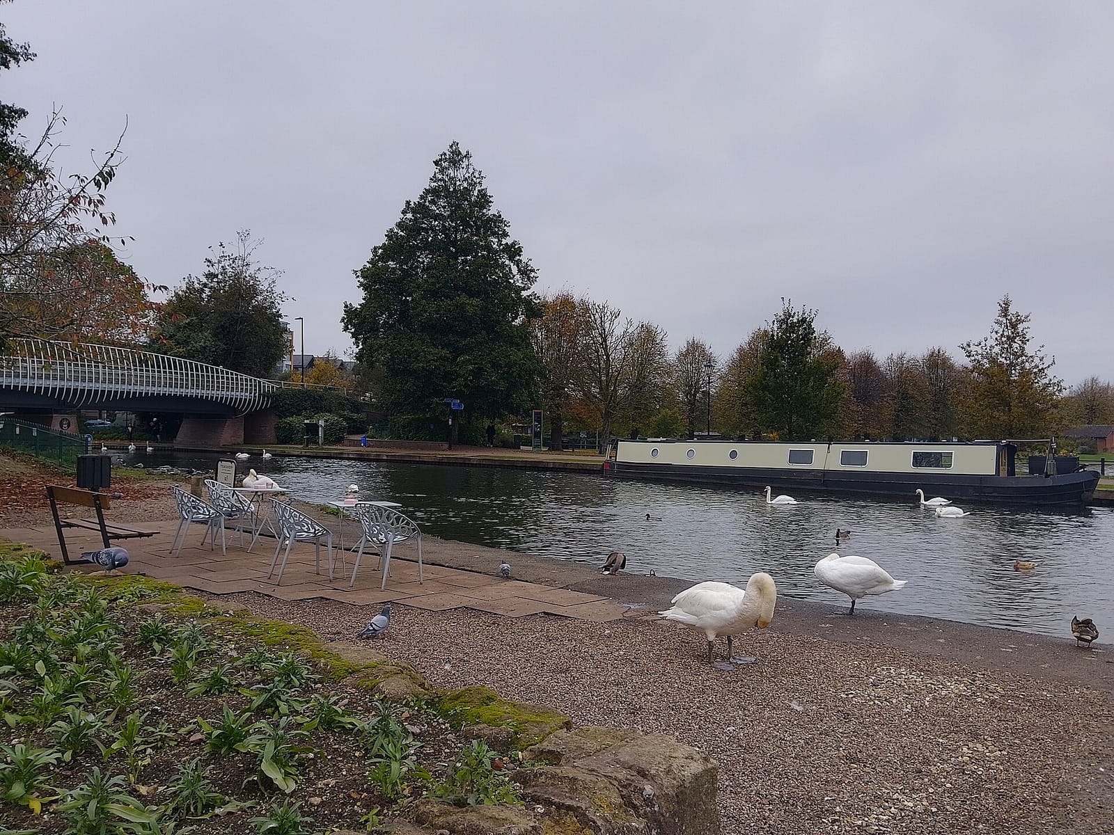 Teashop By The Canal photo 4