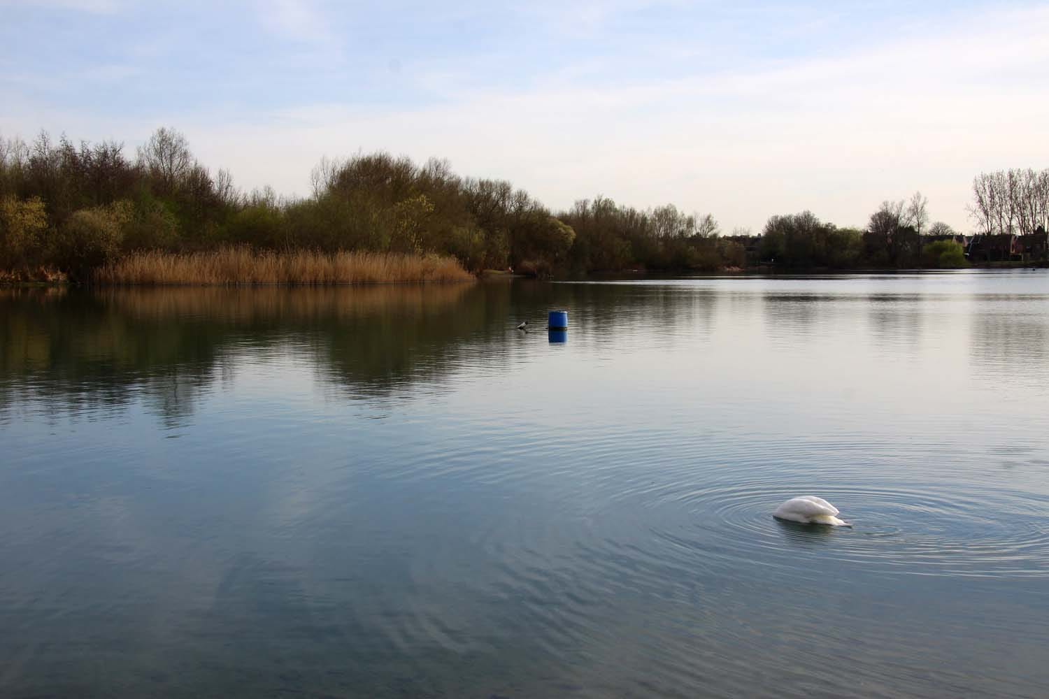 Bray Lake Watersports photo 5