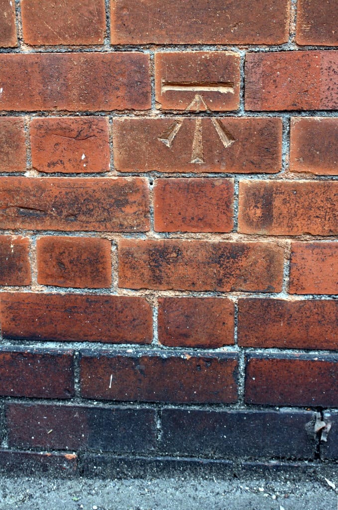 3ft 6 photo 5