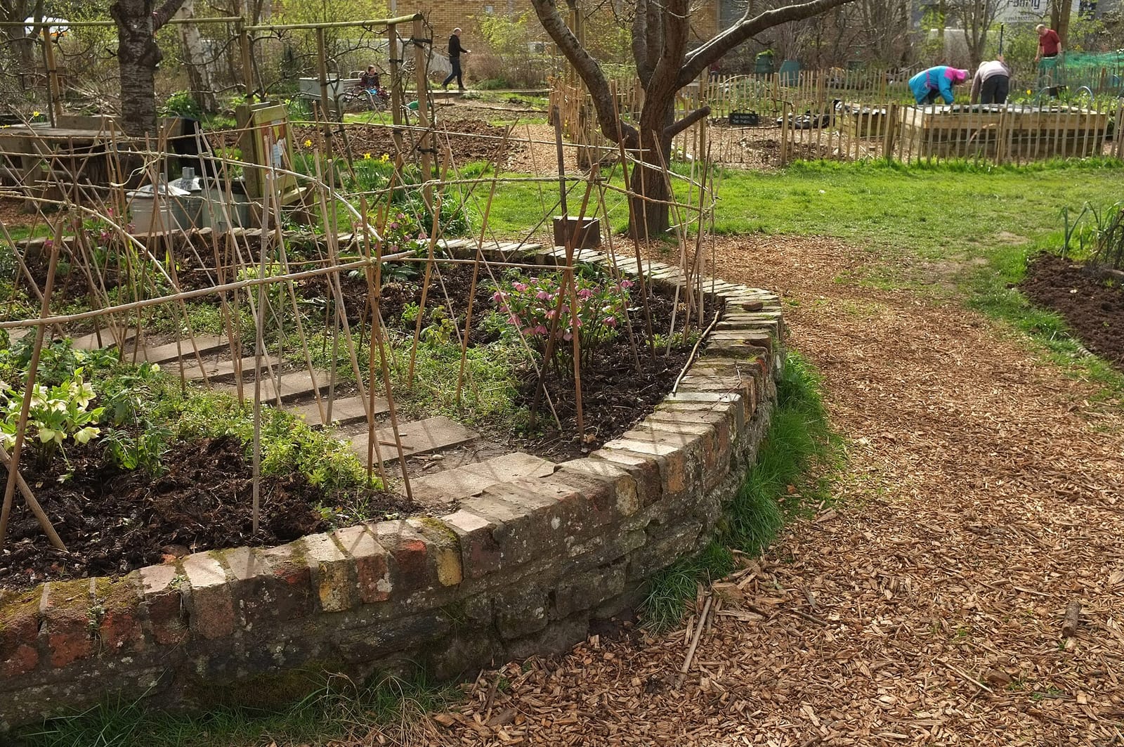 The City Farm Café photo 3