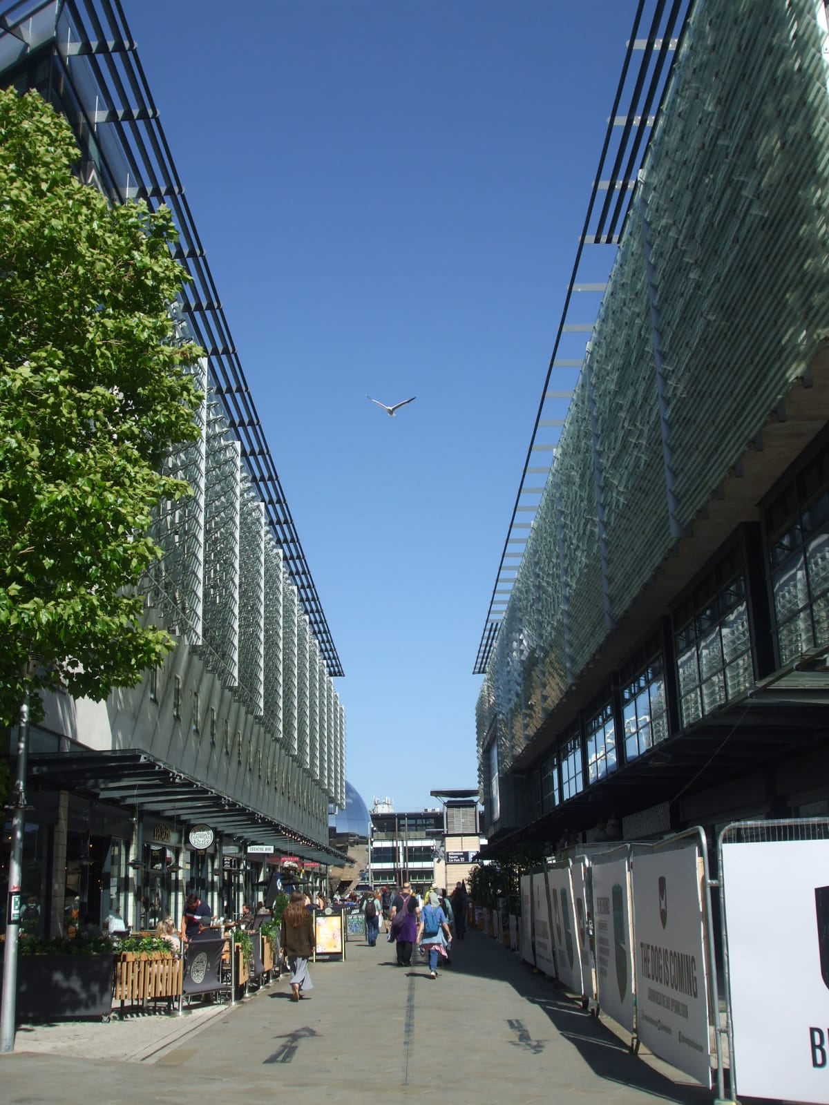 Costa photo 3