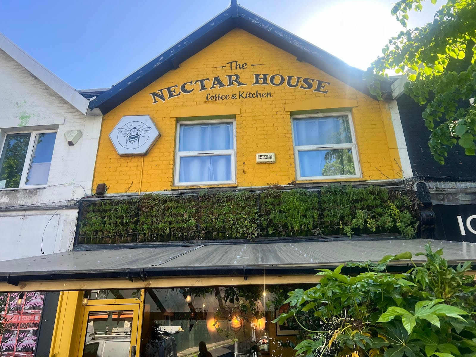 The Nectar House