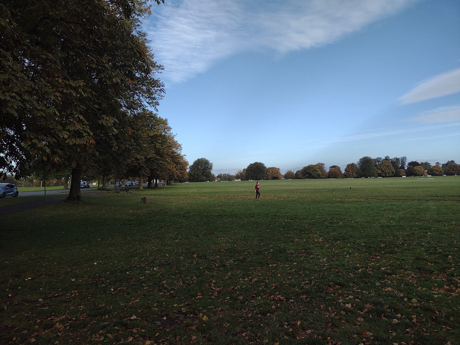 The Downs Cafe photo 2