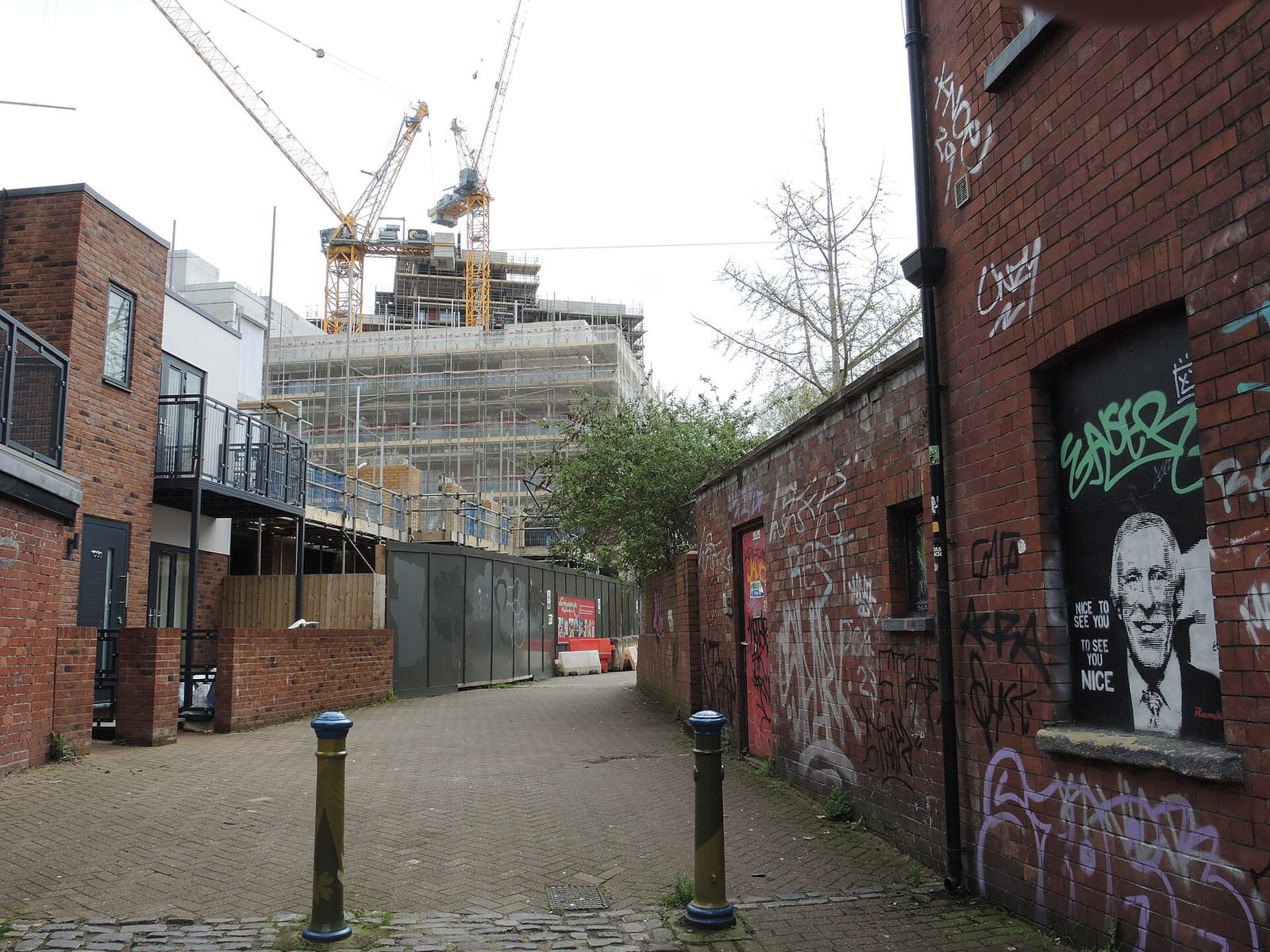 George's photo 4