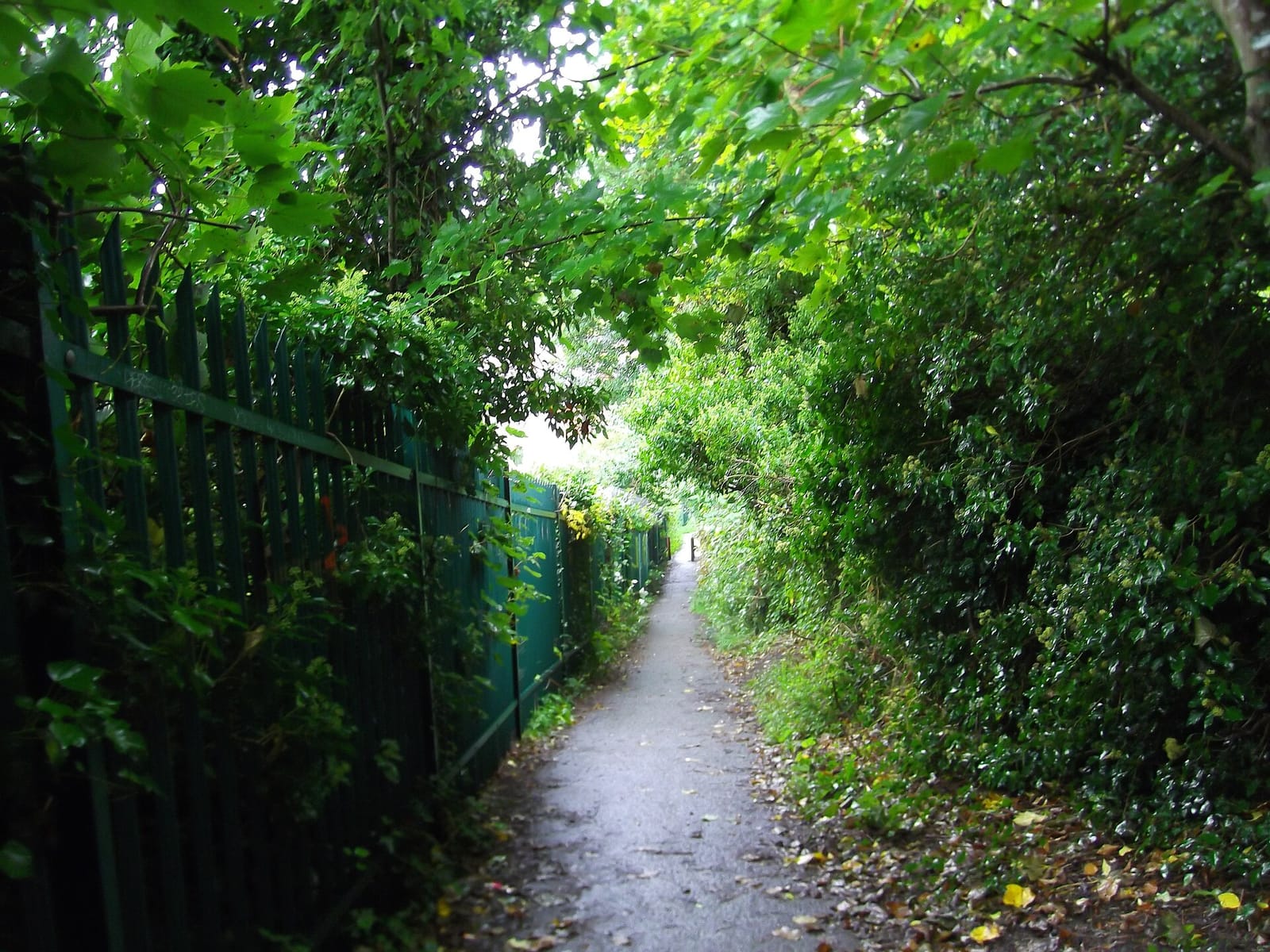 St Werburghs City Farm Cafe photo 5
